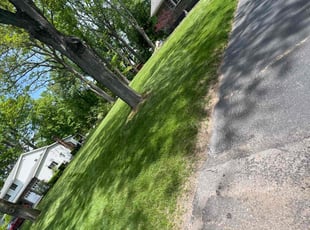 Lorraine S.'s Lawn Service service result