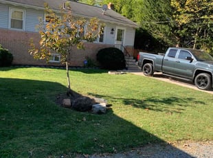 Anthony B.'s Grass Cutting service result