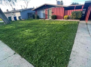 Lynn M.'s Lawn Service service result