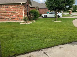 Denise S.'s Lawn Mowing service result
