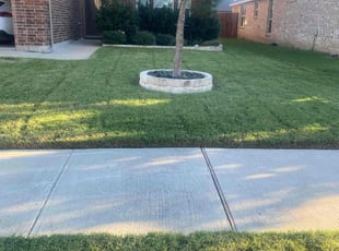 Yvonne B.'s Lawn Service service result