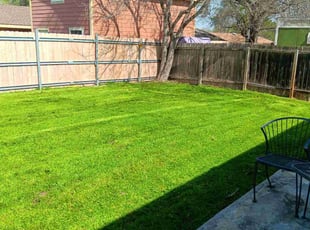 David T.'s Yard Cutting service result