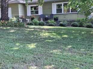 Dana C.'s Yard Cutting service result