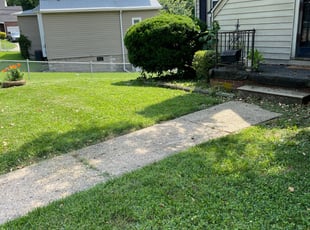 Bush Trimming by Jessica Irving for Donna T. in Baltimore, MD