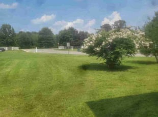 Jesus R.'s Lawn Care service result