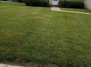 Bush Trimming by Carnell Garrett for Debora G. in Pontiac, MI