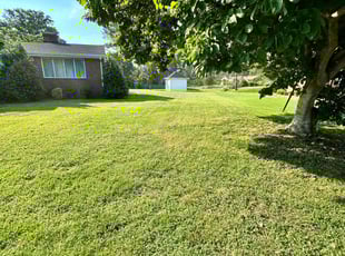 Tasha N.'s Lawn Mowing Service service result