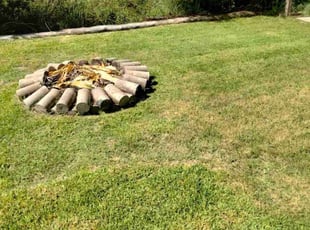 Deedee M.'s Lawn Maintenance service result