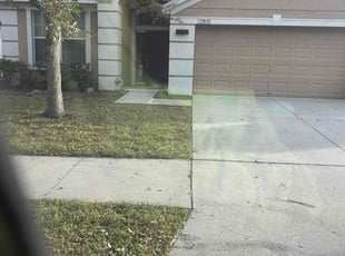 Bush Trimming by William Chavers for Andy M. in Riverview, FL