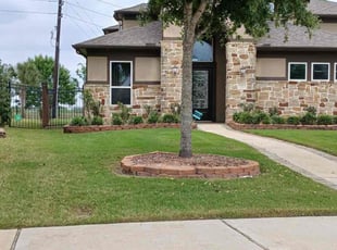 Oliva I.'s Grass Cutting service result