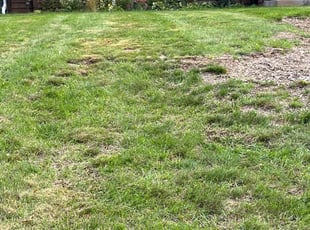 Leaf Removal by Santos Blanco for Tamara B. in Eagan, MN