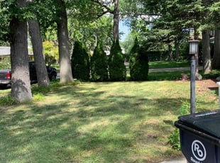 Cleanups by Kyle Yacko for Maryann M. in Royal Oak, MI