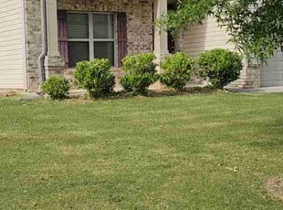 Bush Trimming by Rodney Tucker for Sarah H. in Riverdale, GA
