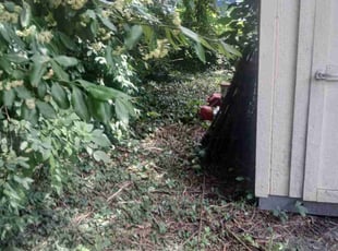 Weeding by Julio Almestica for Nellie M. M. in Kansas City, MO
