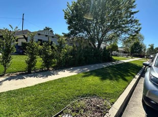 LaVern C.'s Lawn Mowing service result