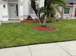 Mark K.'s Lawn Mowing service result
