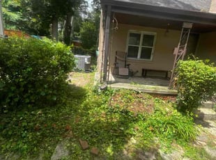 Bush Trimming by Caree Keith for OWEN W. in Hyattsville, MD