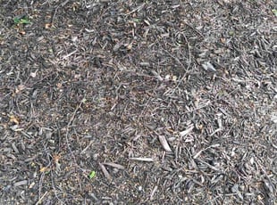 Weeding by KK Green Grass for Cara K. in Olathe, KS