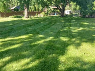 Rachel S.'s Lawn Mowing Service service result