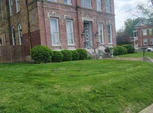 Tonya H.'s Lawn Care service result