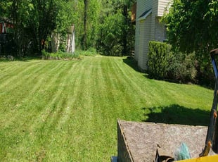 Meggan R.'s Yard Cutting service result
