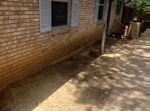 Leaf Removal by Jose Rodriguez for Mitch B. in Arlington, TX