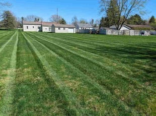 Debbie D.'s Grass Cutting service result