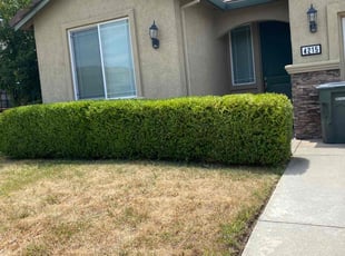 Bush Trimming by Uriel Aldrete for Chris L. in Sacramento, CA