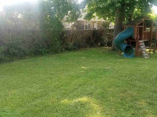 Leaf Removal by Christopher Webb for Kristina D. in Prairieville, LA