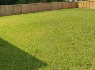 Andy V.'s Lawn Care service result