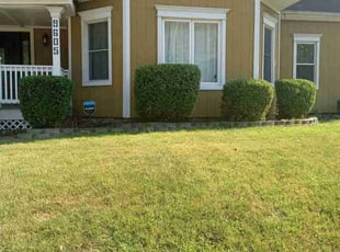 Bush Trimming by Cyrus Tindle for Antoinette B. in Shawnee, KS