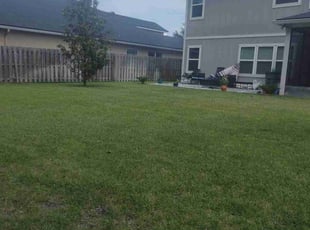 Derek N.'s Lawn Care service result
