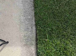 Raja A.'s Lawn Mowing service result