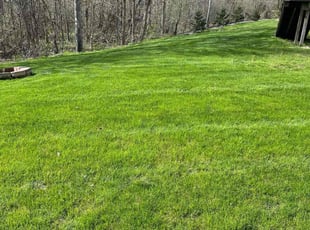 Martha M.'s Yard Cutting service result