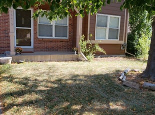 Weeding by Carlos Mendoza for stephanie M. in Aurora, CO