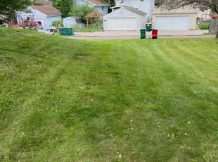 Sarah S.'s Lawn Care service result