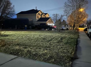 Brittany J.'s Yard Cutting service result