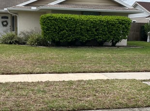 Bush Trimming by Cedric Hartwell for Skyler K. in Orlando, FL