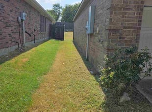 Cleanups by Michael Haun for Etta T. in Anna, TX