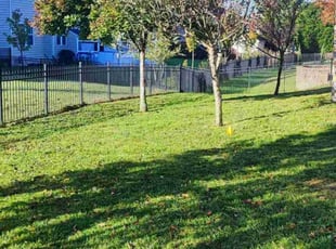 Mischa S.'s Lawn Service service result