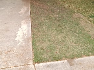 Leaf Removal by Terrence Johnson for Kira H. in Universal City, TX