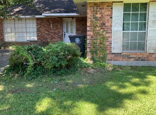 Bush Trimming by Johnnie Spears for Debra B. in Baton Rouge, LA