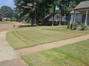 Sean L.'s Lawn Service service result
