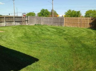 Michael E.'s Lawn Service service result