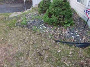 Cleanups by Mia St John for Joshua S. in Saint Paul, MN