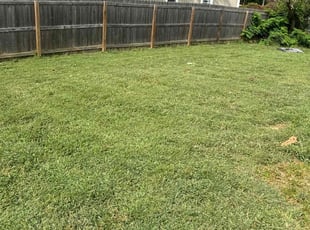 Benjamin P.'s Lawn Maintenance service result