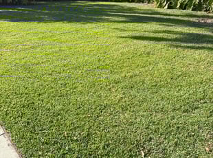 Judith B.'s Lawn Service service result
