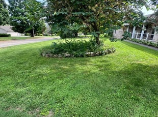 Kenneth B.'s Lawn Care service result