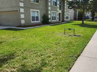 Sandi P.'s Lawn Maintenance service result