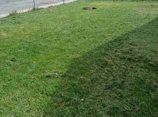 melissa b.'s Lawn Care service result